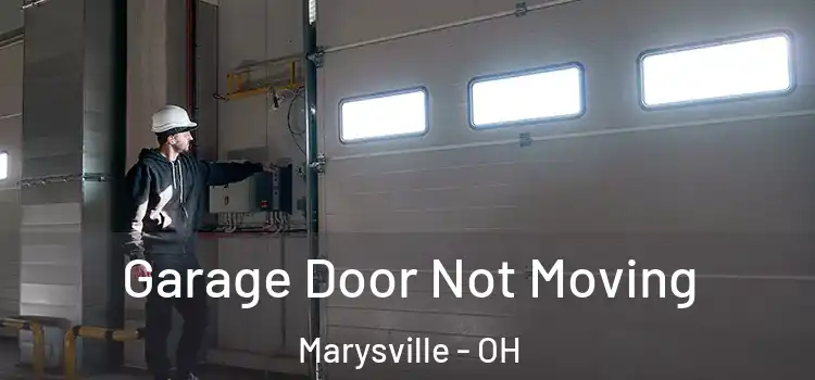  Garage Door Not Moving Marysville - OH