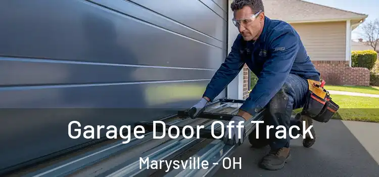  Garage Door Off Track Marysville - OH