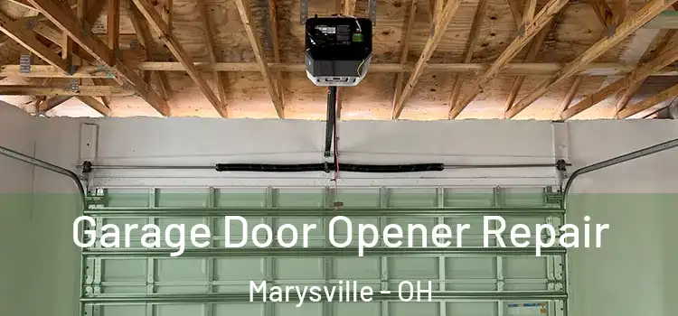  Garage Door Opener Repair Marysville - OH