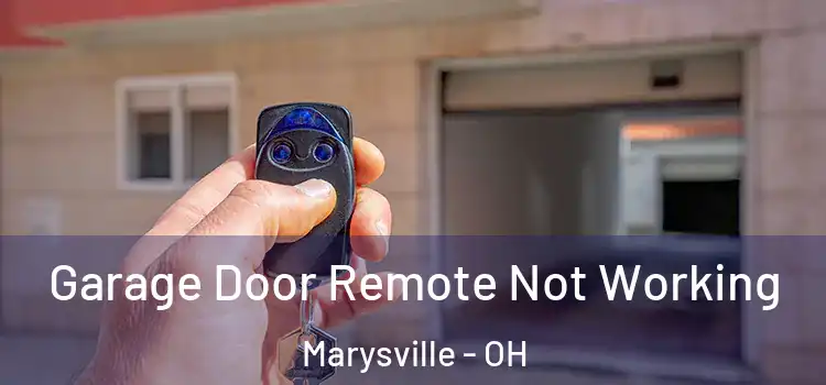  Garage Door Remote Not Working Marysville - OH