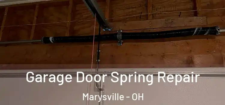  Garage Door Spring Repair Marysville - OH
