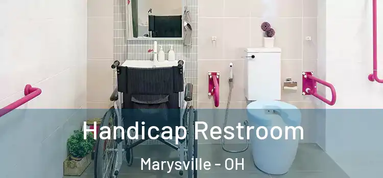 Handicap Restroom Marysville - OH