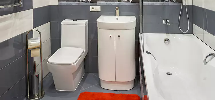 Hansgrohe Shaving Mirror Marysville