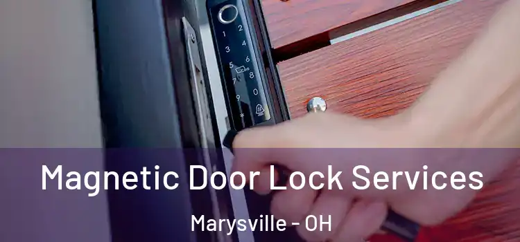 Magnetic Door Lock Services Marysville - OH