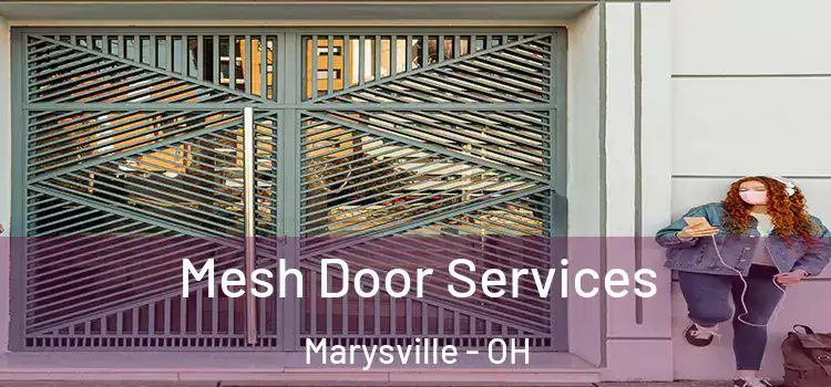 Mesh Door Services Marysville - OH
