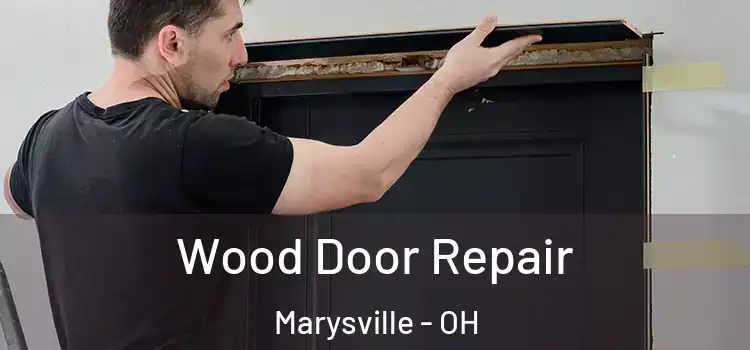 Wood Door Repair Marysville - OH
